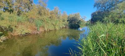 Propriété - 270 m² - 12 pièces