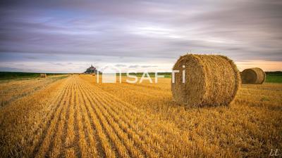 Terrain agricole - 240 070 m²