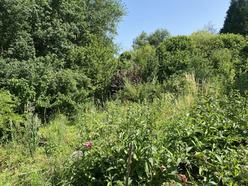 Maison ancienne - 195 m² - 8 pièces