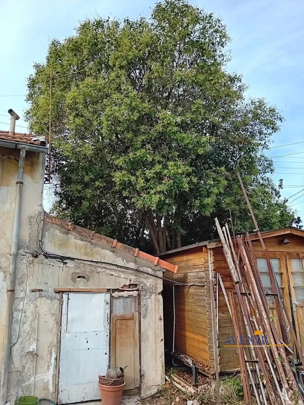 Maison - 36 m² - 2 pièces