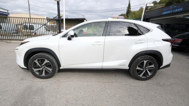 Lexus Nx My20 Mm19 300h 4wd Executive