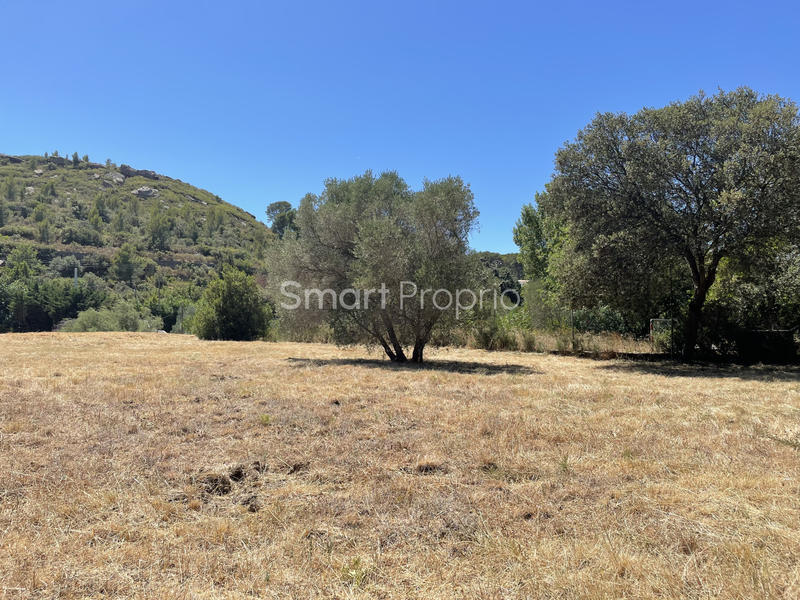 Terrain - 1 026 m²