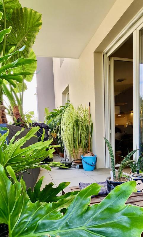 Appartement - 51 m² - 2 pièces