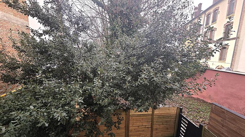 Appartement - 20 m² - 1 pièce