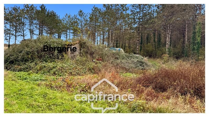 Maison - 30 m² - 1 pièce