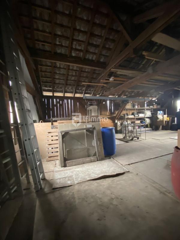 Bureau - 160 m² - 2 pièces