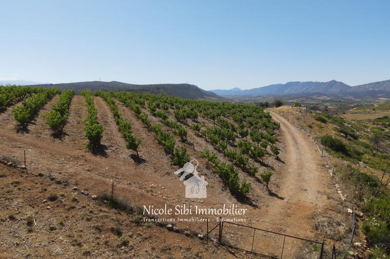 Terrain agricole - 30 000 m²