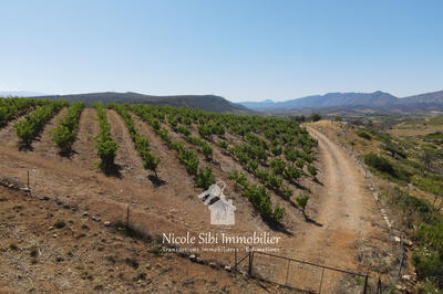 Terrain agricole - 30 000 m²