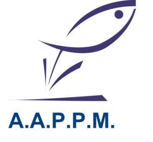 Animation printemps "Les moutons du Brassenx"