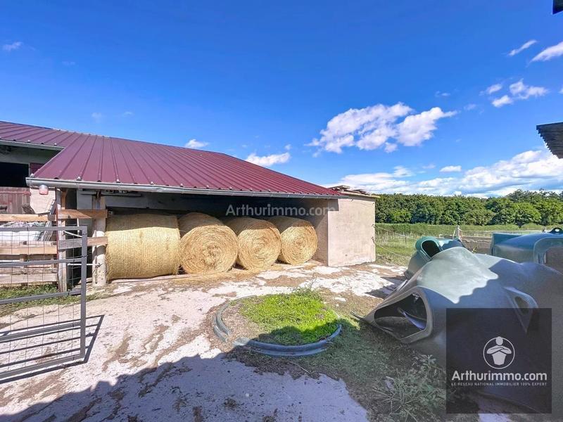 Maison - 206 m² - 7 pièces