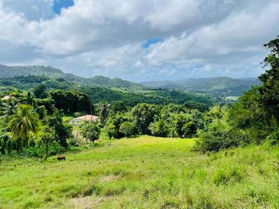 Terrain constructible - 2 400 m²