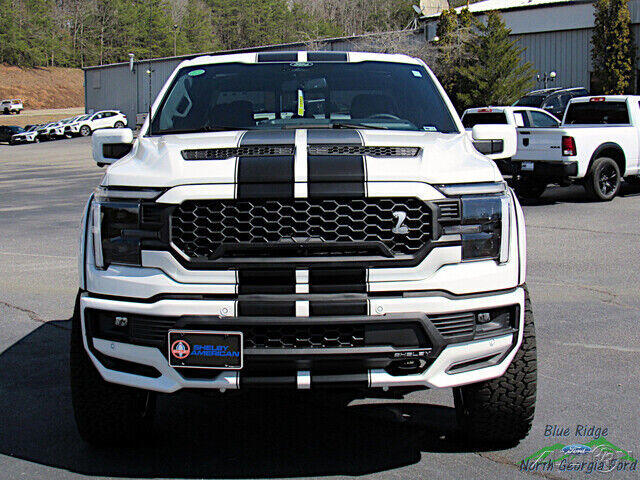 Ford F 150 Shelby