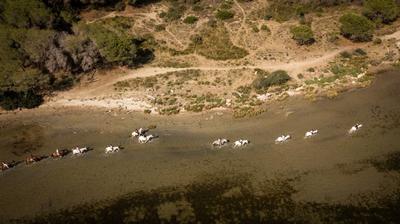 Fonds de commerce - 10 000 m²