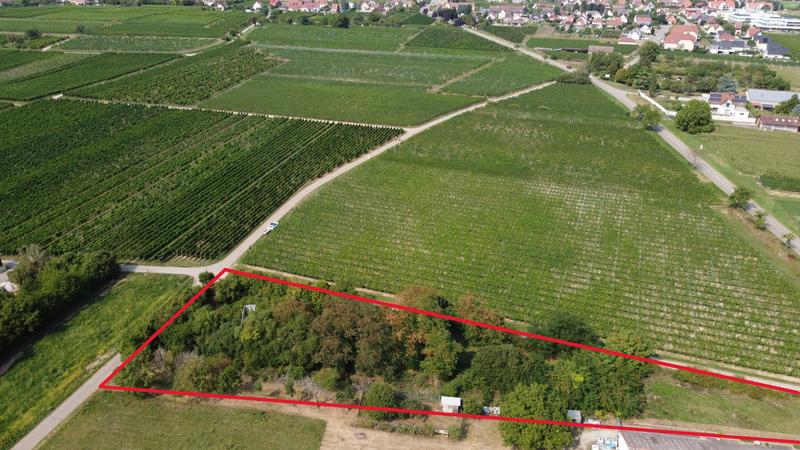 Terrain constructible - 3 310 m²