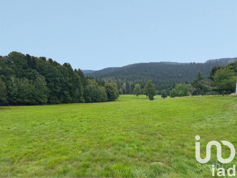 Terrain - 19 171 m²