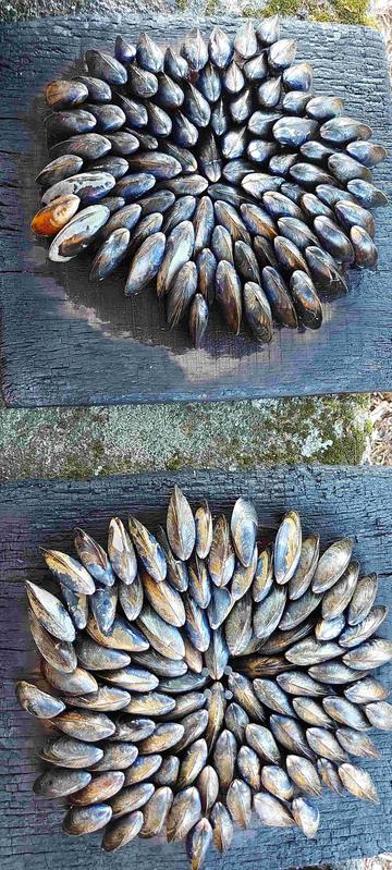 Soirée éclade, feu d'artifice et bal