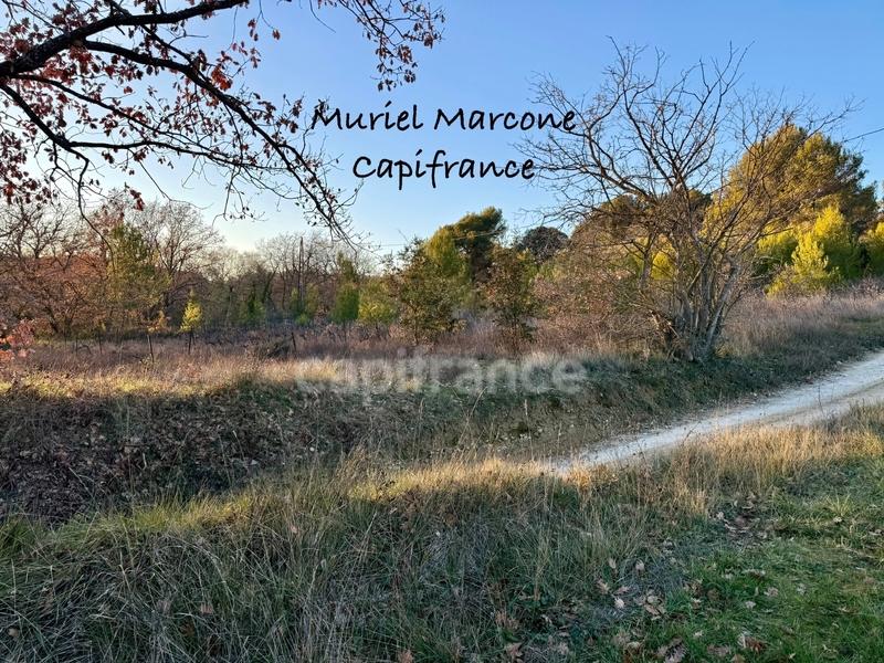 Terrain agricole - 5 800 m²