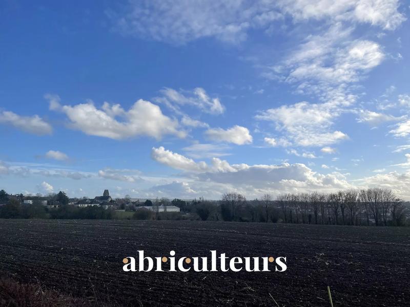 Terrain constructible