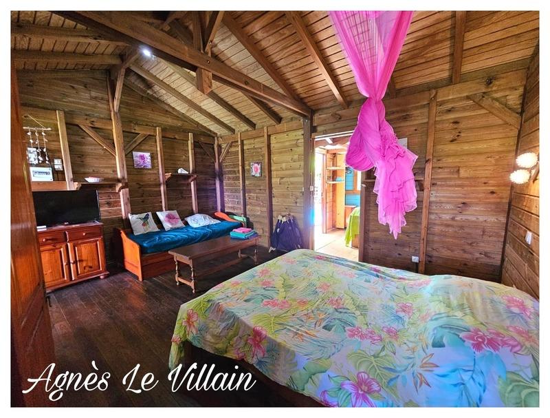 Maison - 478 m² - 21 pièces