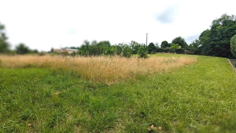 Terrain constructible - 2 970 m²