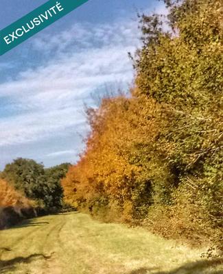 Terrain - 697 767 m²