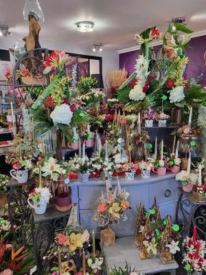 Fonds de commerce - Magasins - 50 m²