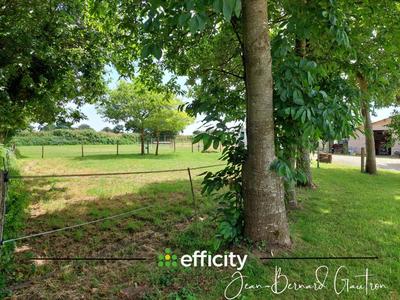 Maison de domaine équestre - 161 m² - 6 pièces