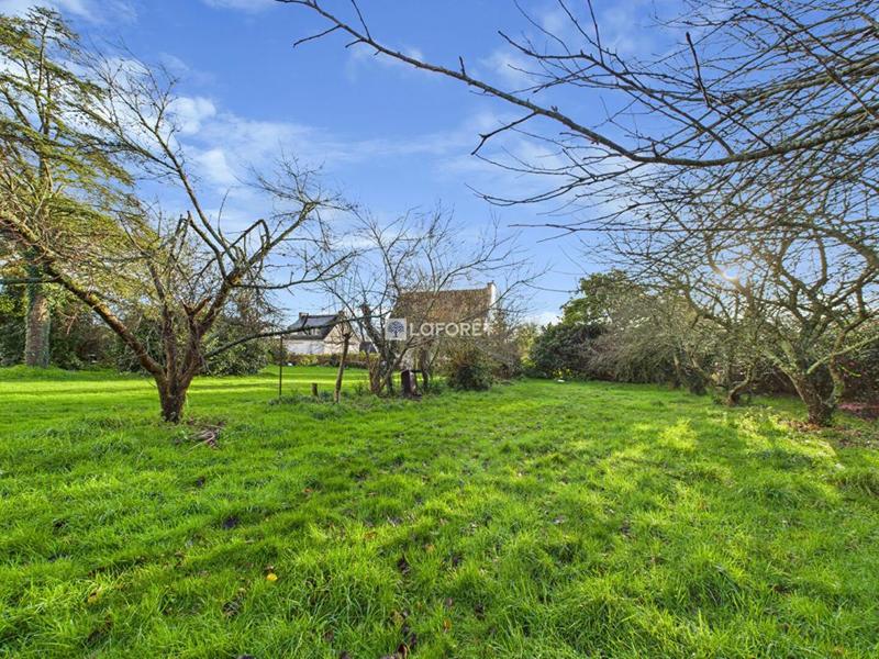 Terrain constructible - 1 087 m²