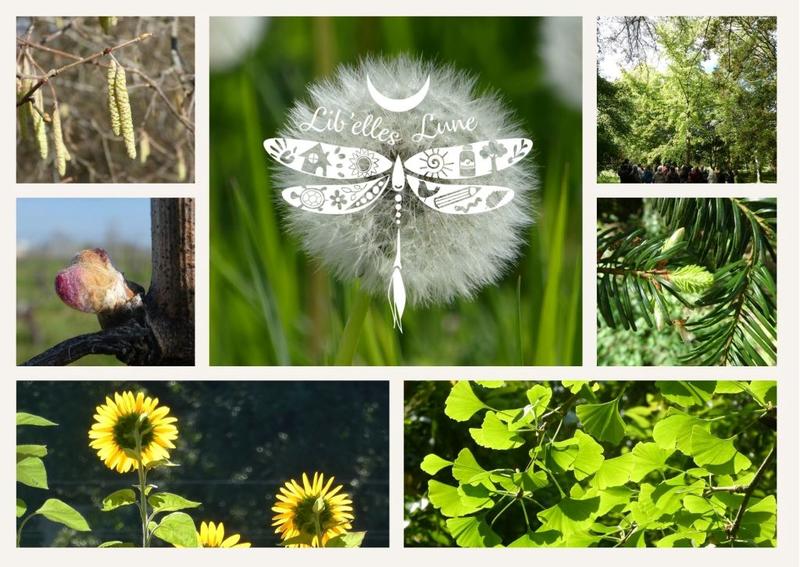 Balade commentée dans le parc botanique du Château de Neuvic - Châteaux en Fête
