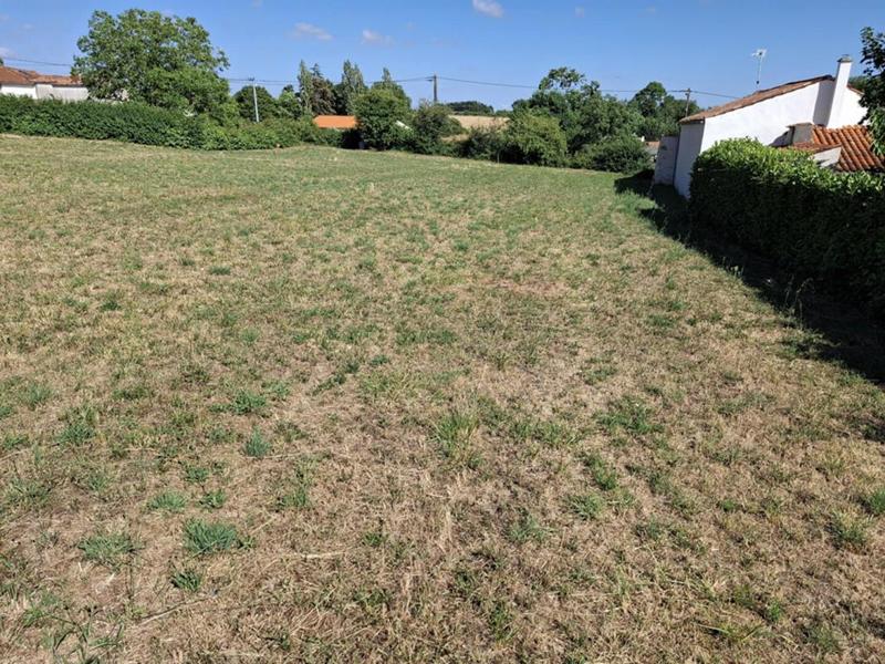 Terrain constructible - 1 700 m²