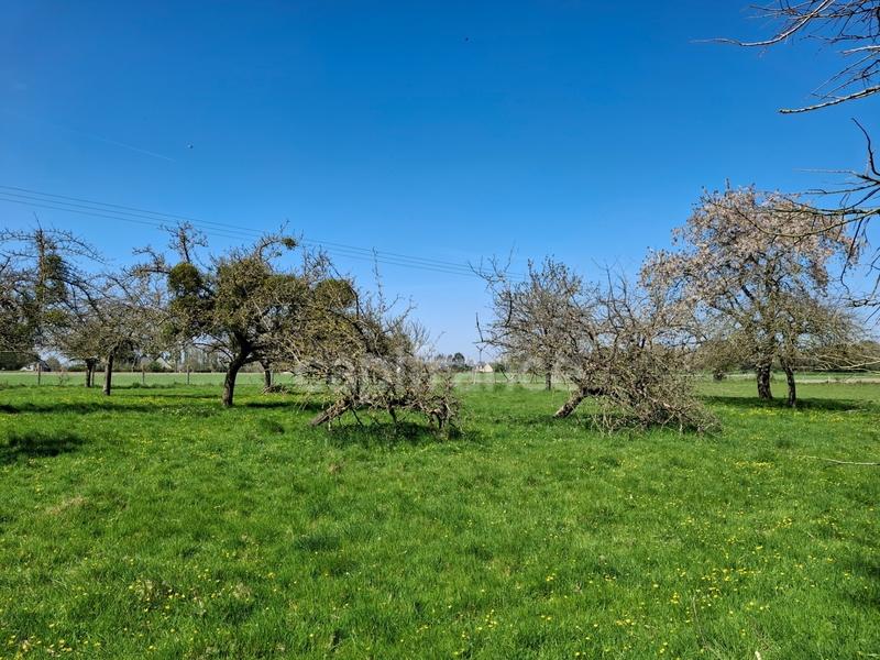 Maison en pierre - 100 m² - 6 pièces