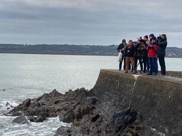 A la découverte des oiseaux de la Hougue