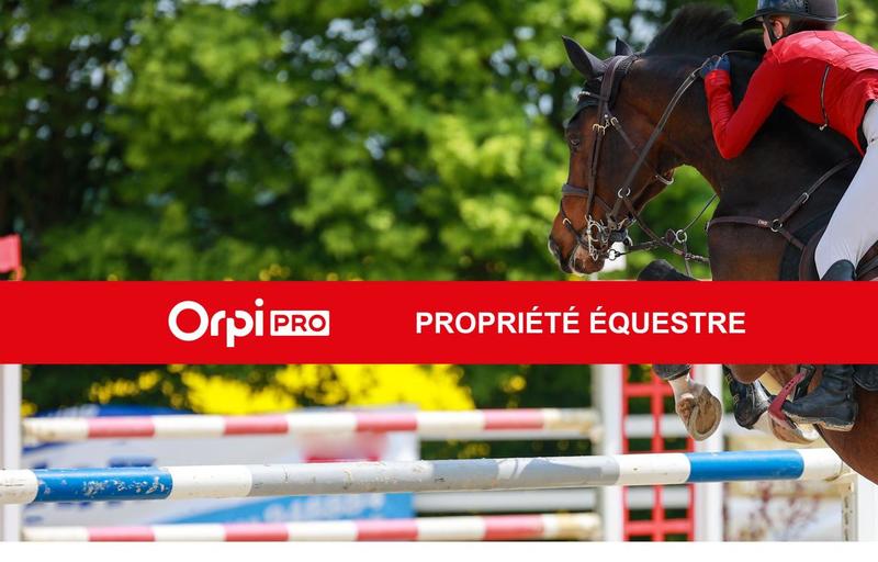 Maison - 251 m² - 7 pièces