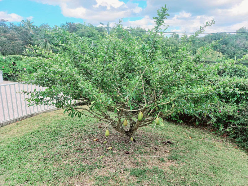 Maison - 291 m² - 7 pièces