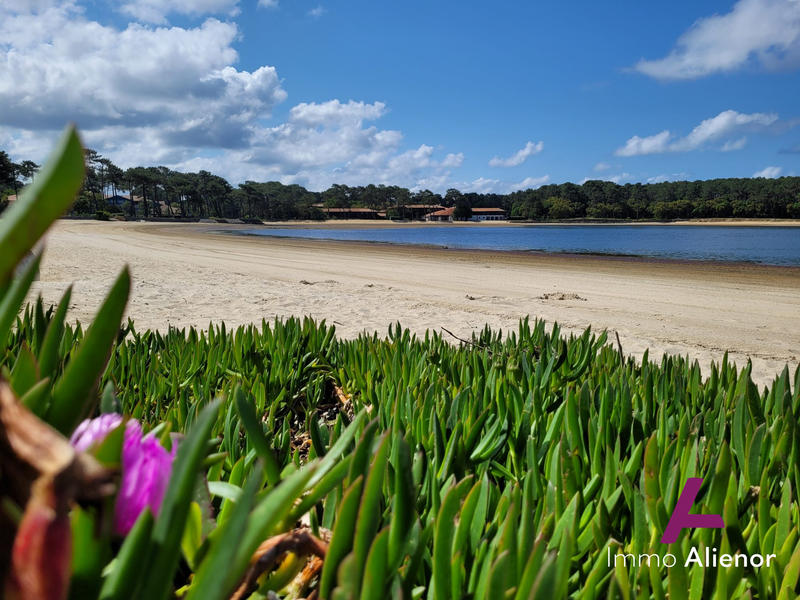 Appartement - 29 m² - 2 pièces