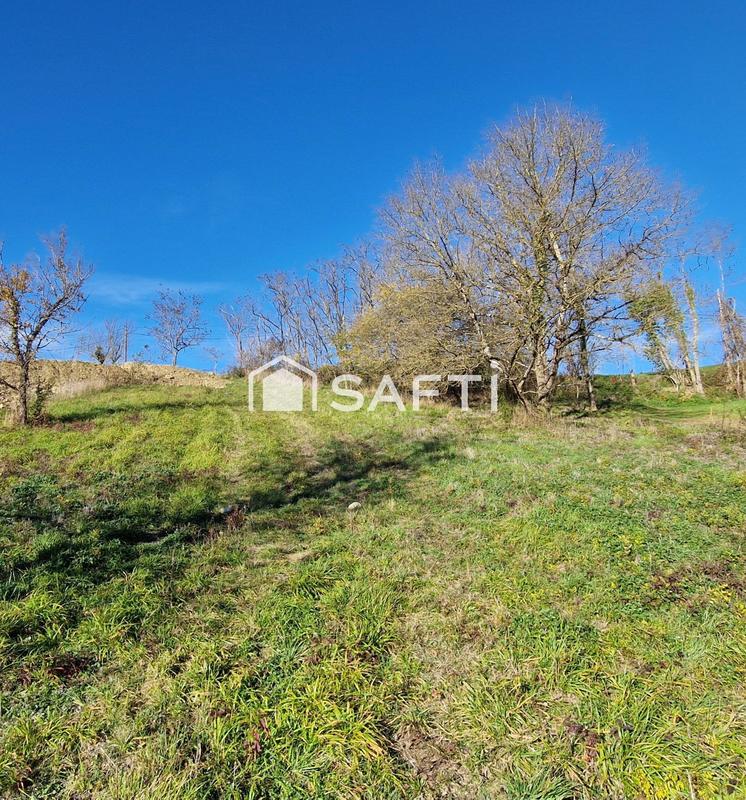 Terrain - 1 564 m²
