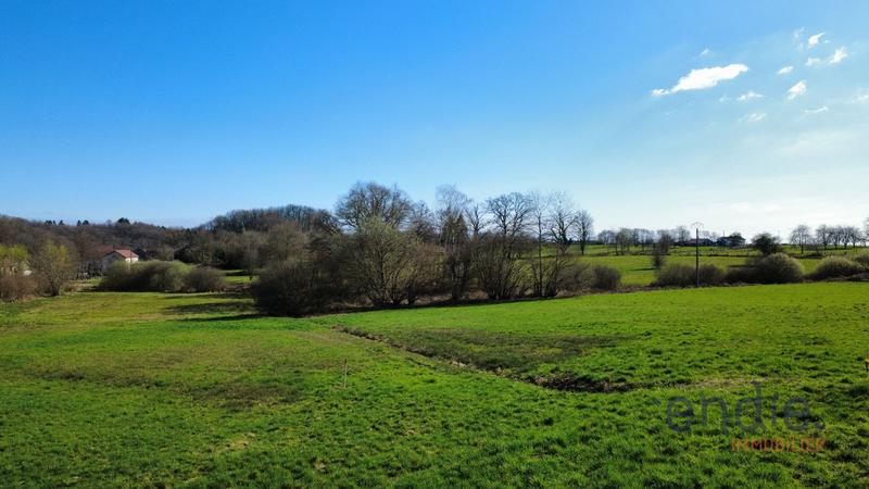 Terrain constructible - 10 000 m²