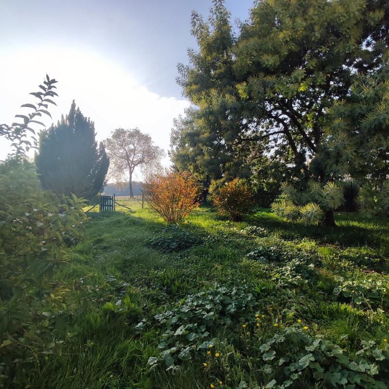 Maison ancienne - 143 m² - 5 pièces