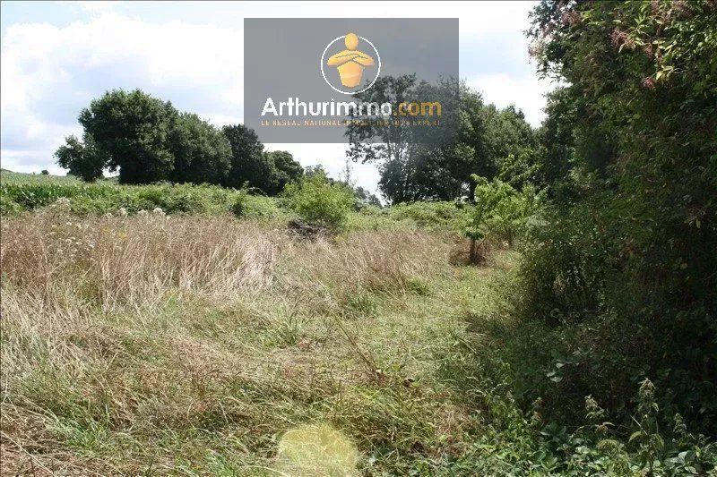 Terrain - 4 150 m²