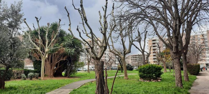 Appartement - 66 m² - 4 pièces