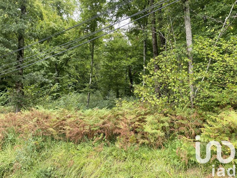 Terrain agricole - 10 388 m²