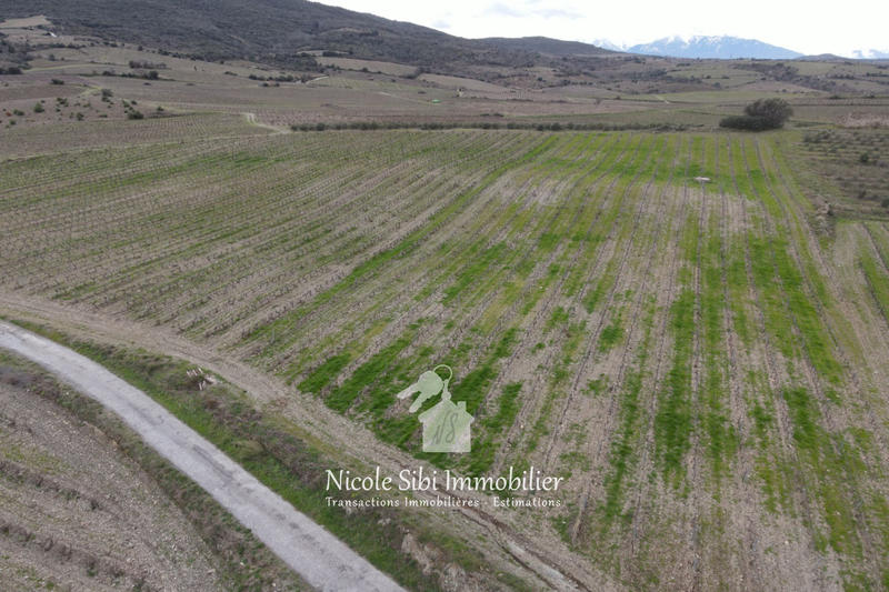 Terrain agricole - 23 527 m²