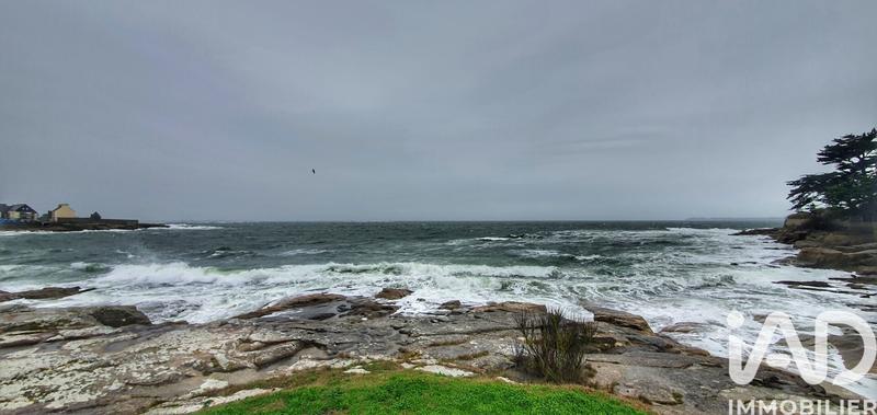 Studio - 29 m² - 1 pièce