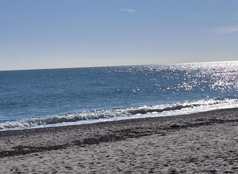 Studio - 22 m² - 1 pièce