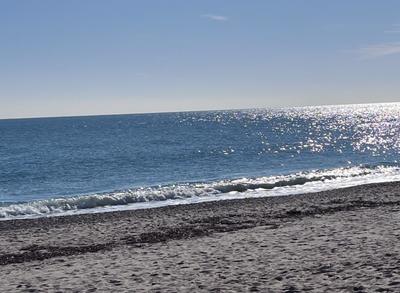 Studio - 22 m² - 1 pièce