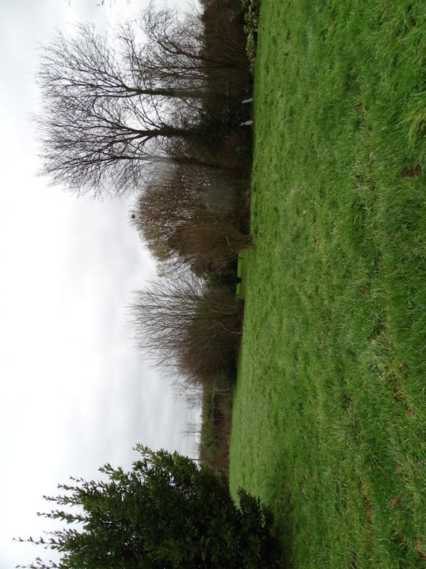 Maison - 170 m² - 5 pièces