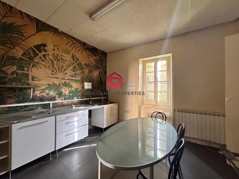 Maison - 300 m² - 15 pièces