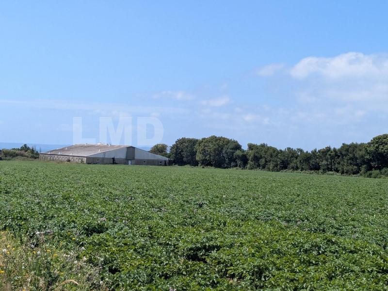 Terrain agricole - 30 080 m²