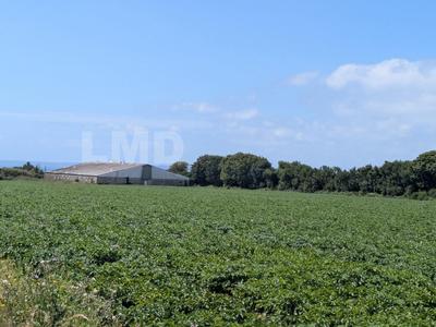 Terrain agricole - 30 080 m²