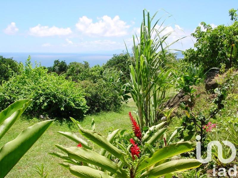 Immeuble - 1 148 m²